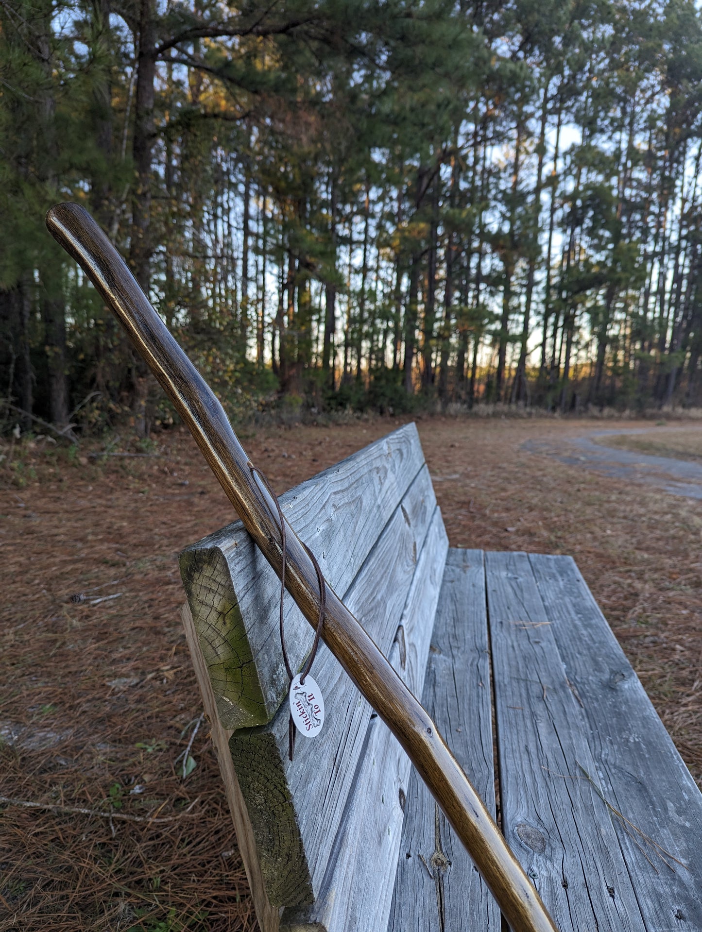 Rustic Oak - Walking Stick