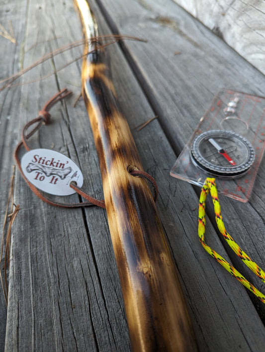 Charred Maple - Walking Stick