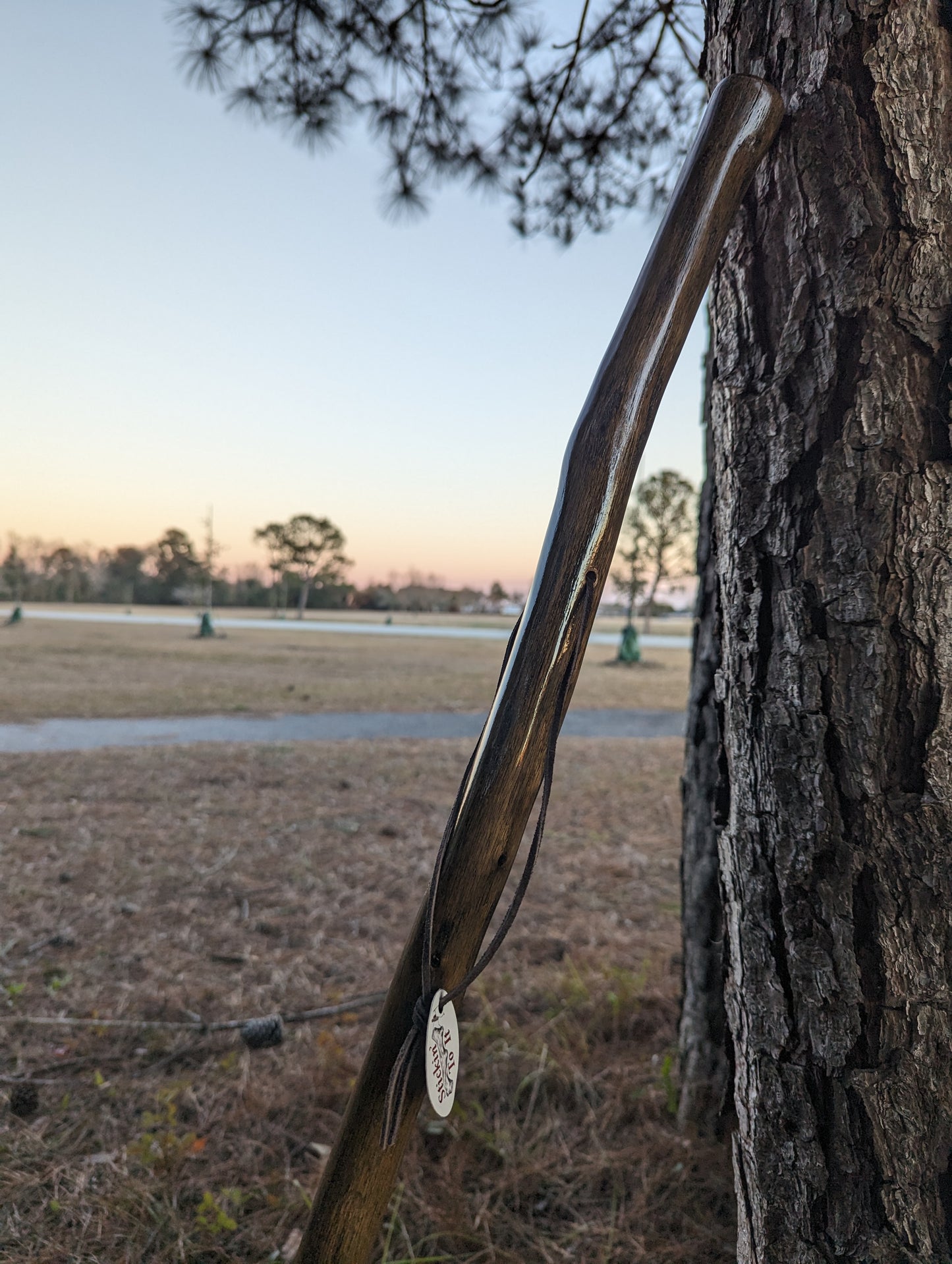 Rustic Oak - Walking Stick