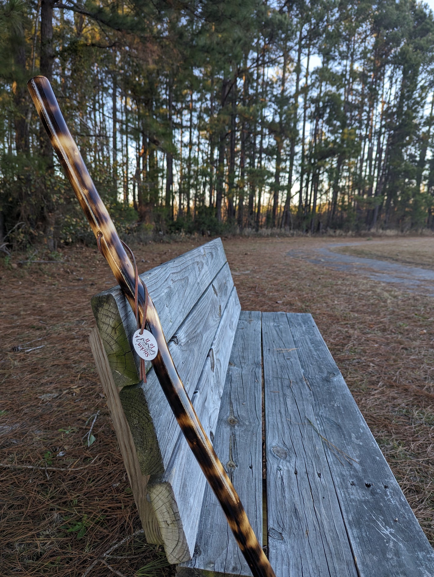 Charred Maple - Walking Stick