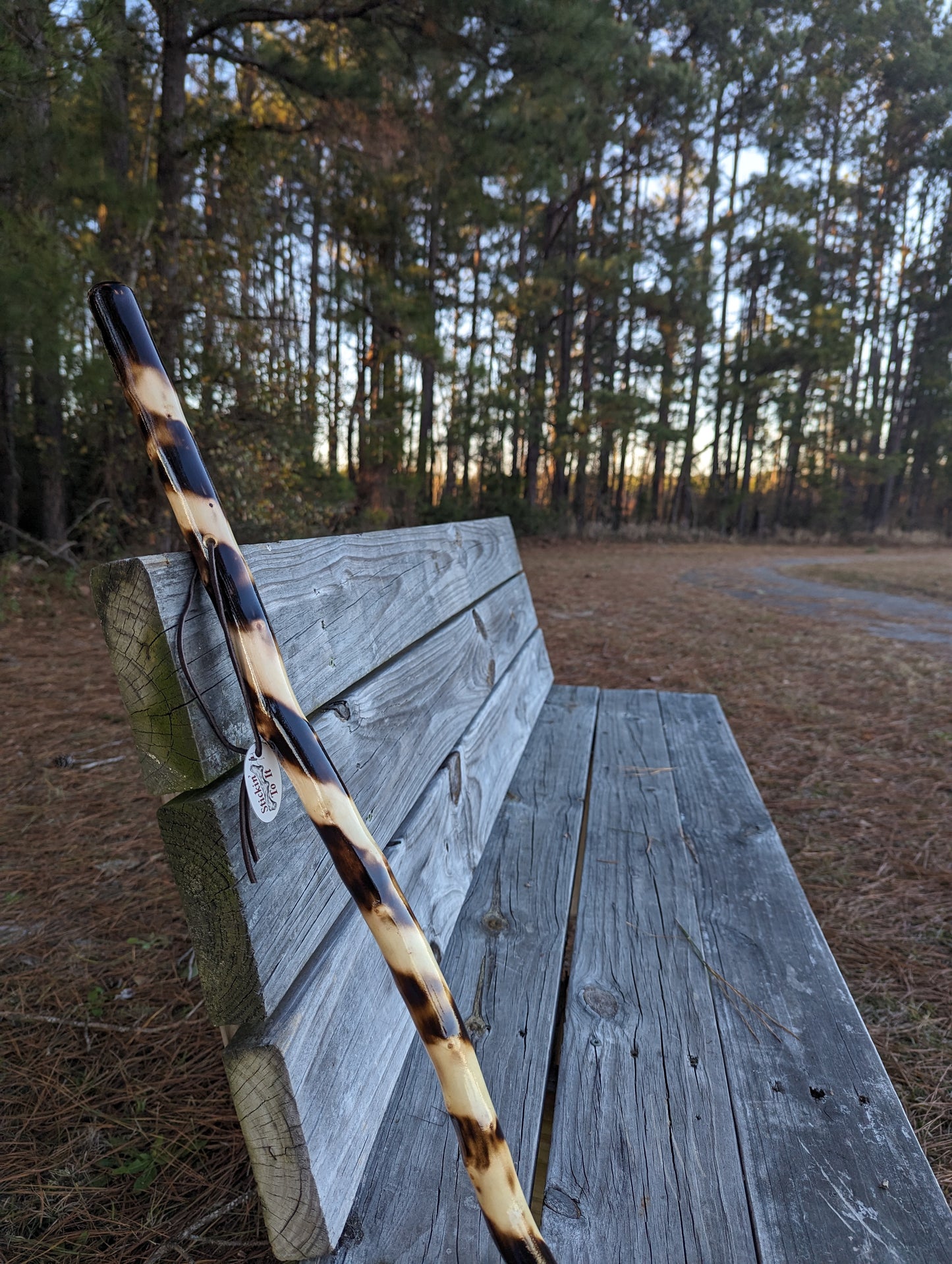 Twisted Charred Maple - Walking Stick