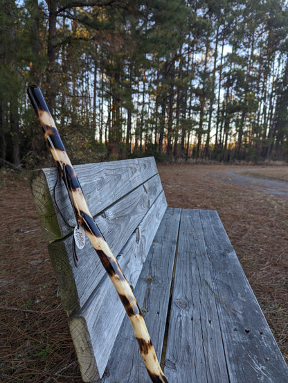 Twisted Charred Maple - Walking Stick
