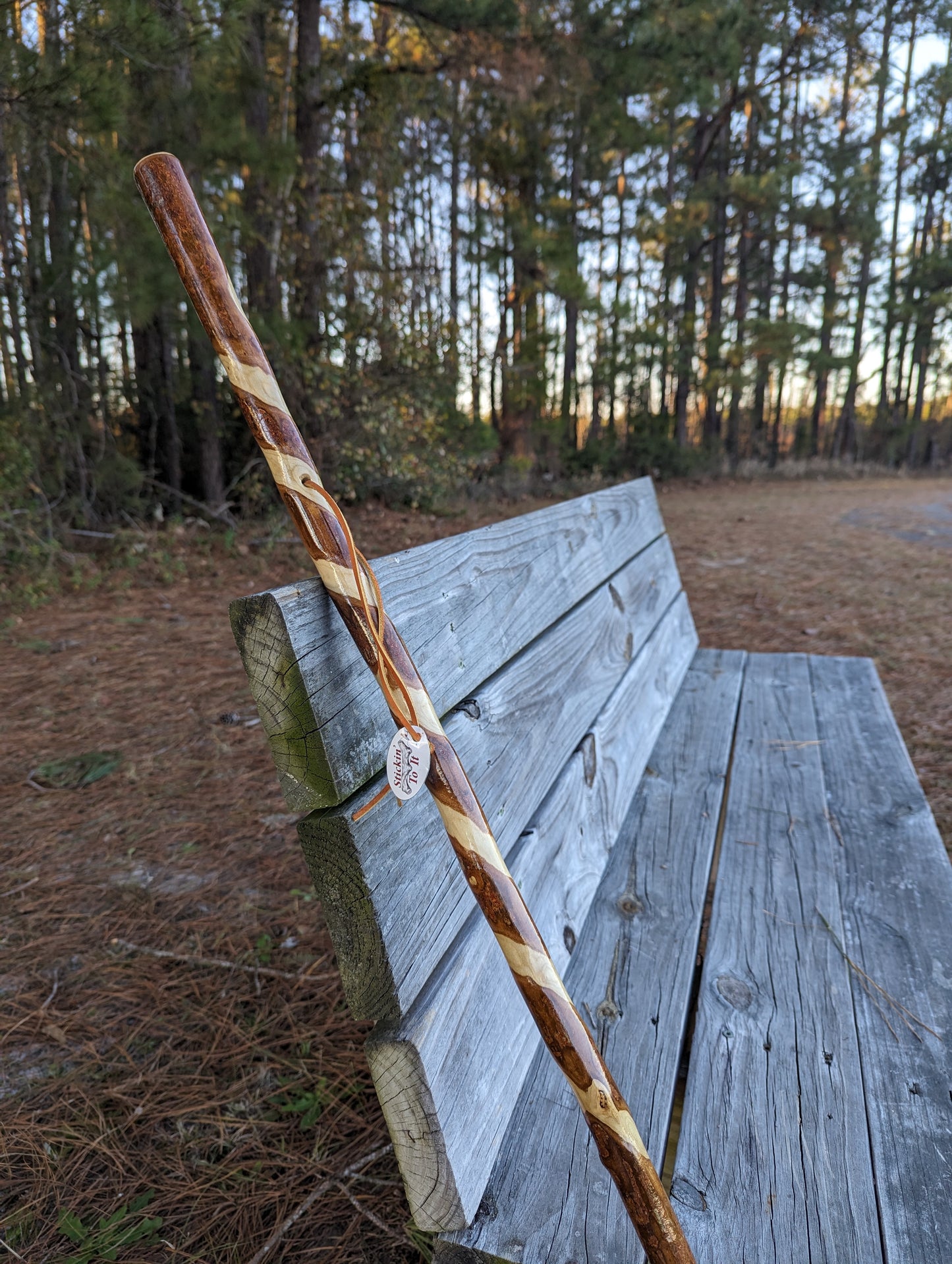 Twisted Maple - Walking Stick