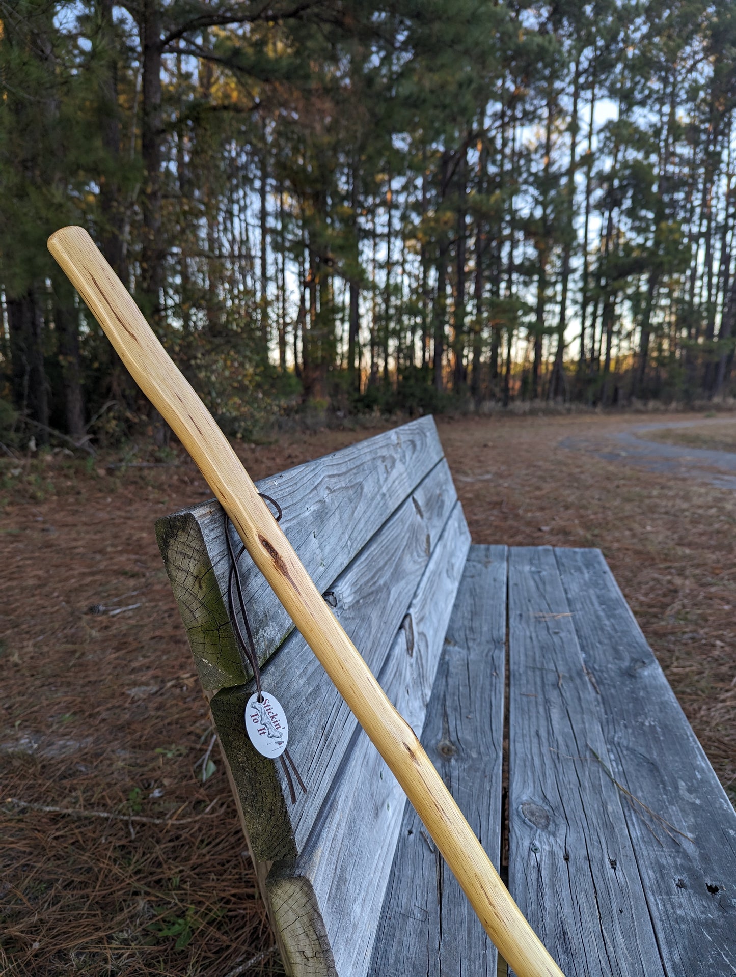 Southern Oak - Walking Stick