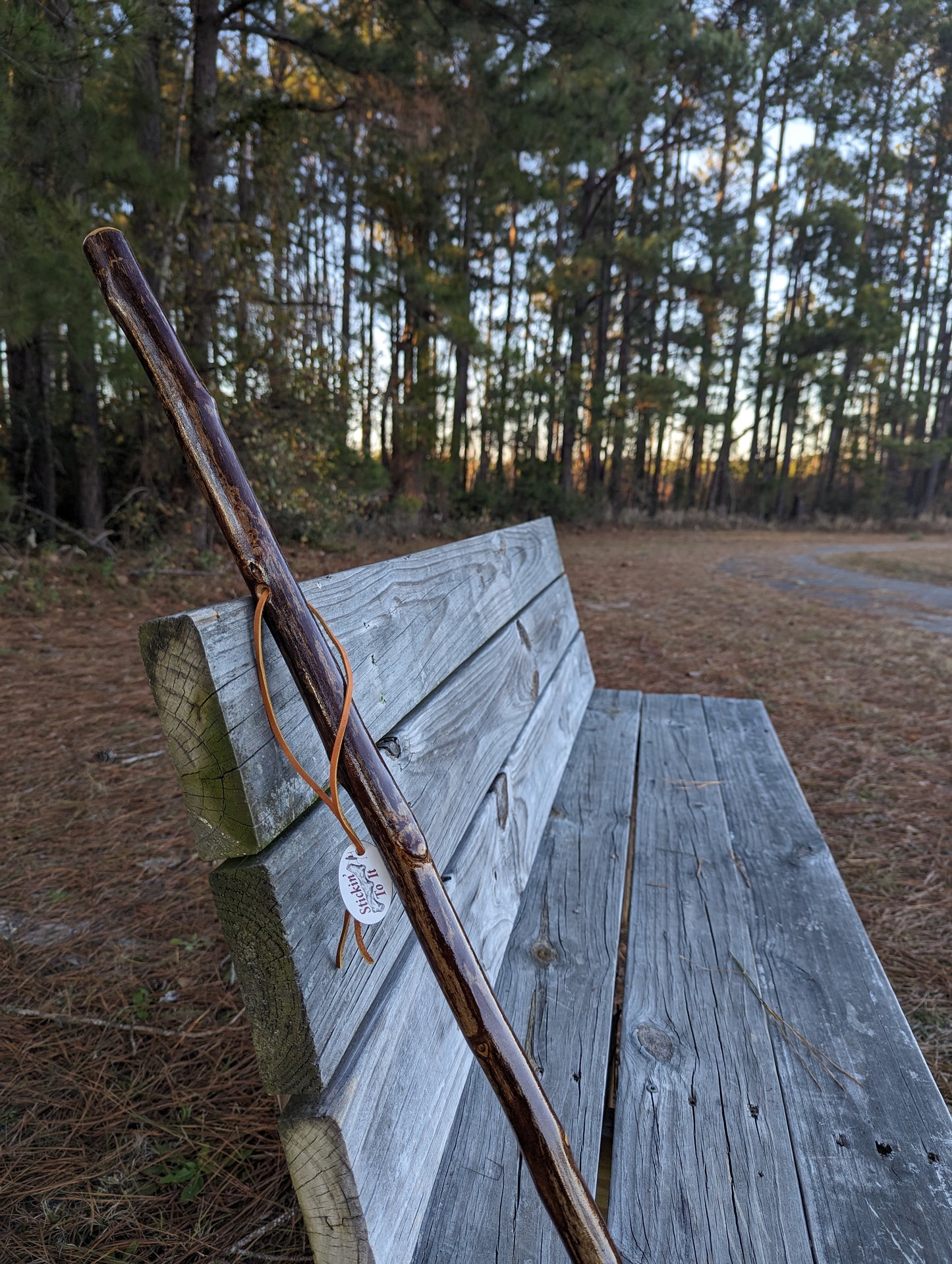 Sweet Gum - Walking Stick