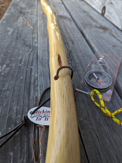 Southern Oak - Walking Stick