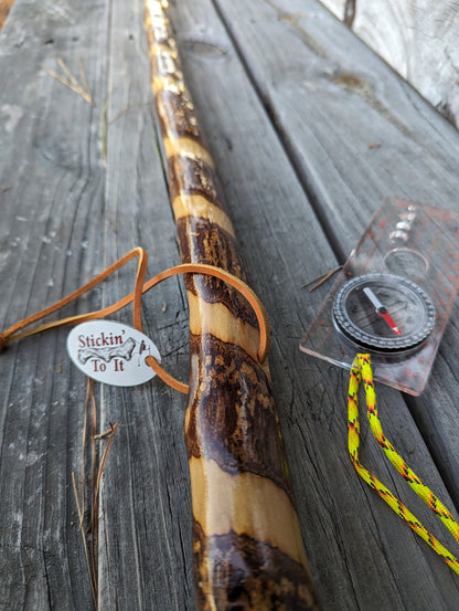 Twisted Sweet Gum - Walking Stick