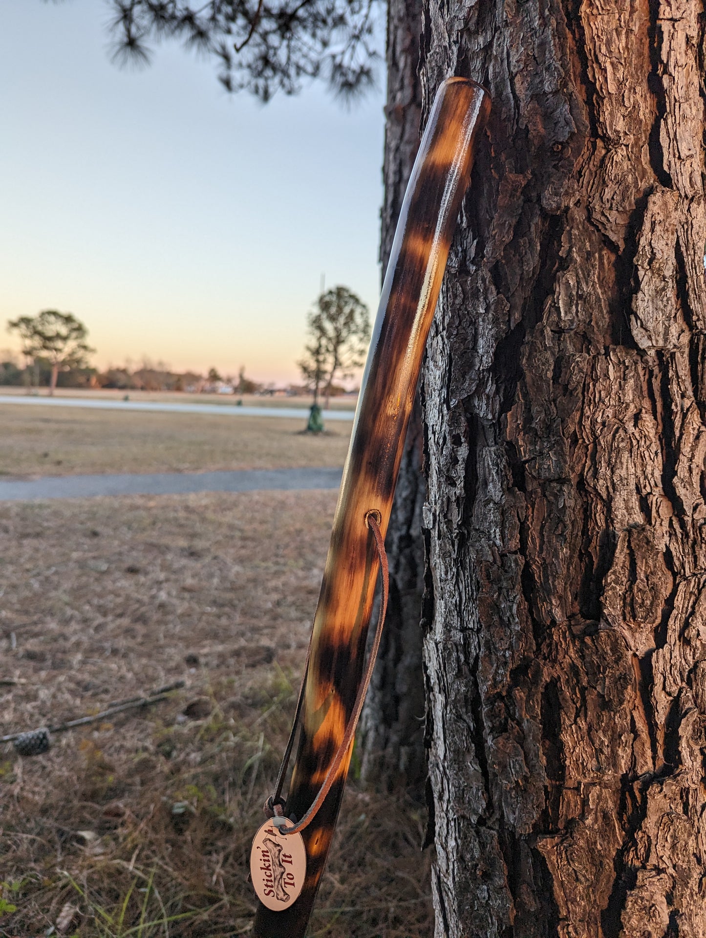 Charred Maple - Walking Stick