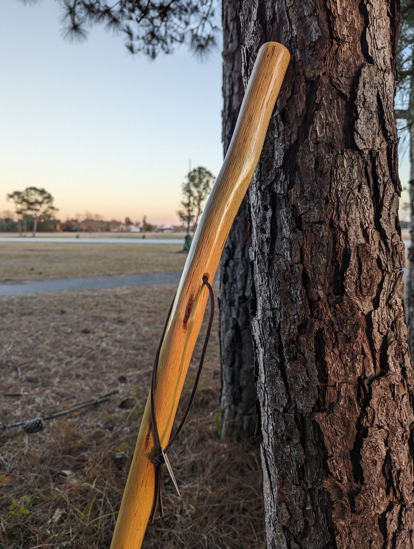 Southern Oak - Walking Stick