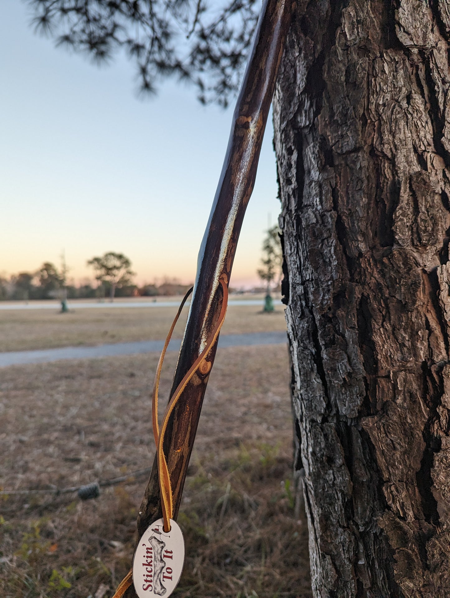 Sweet Gum - Walking Stick