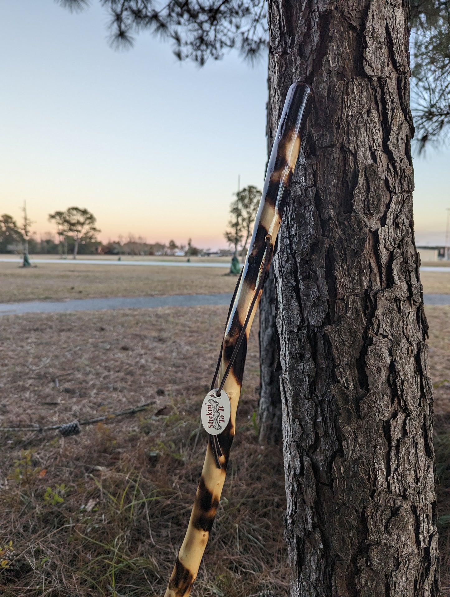 Twisted Charred Maple - Walking Stick